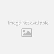 3/4" Axle For Range Rover/Ball Hawk/SL 90 Picker 42 1/8" Long with Hardware