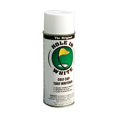 White Paint for Hole in White (12 c