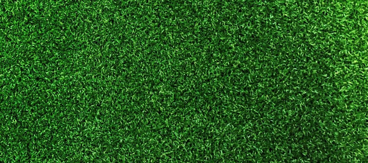 WITTEK EAGLE PUTTING CARPET