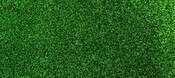 WITTEK EAGLE PUTTING CARPET