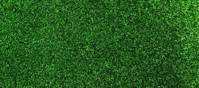 WITTEK EAGLE PUTTING CARPET