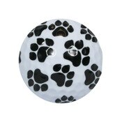 Paw Print